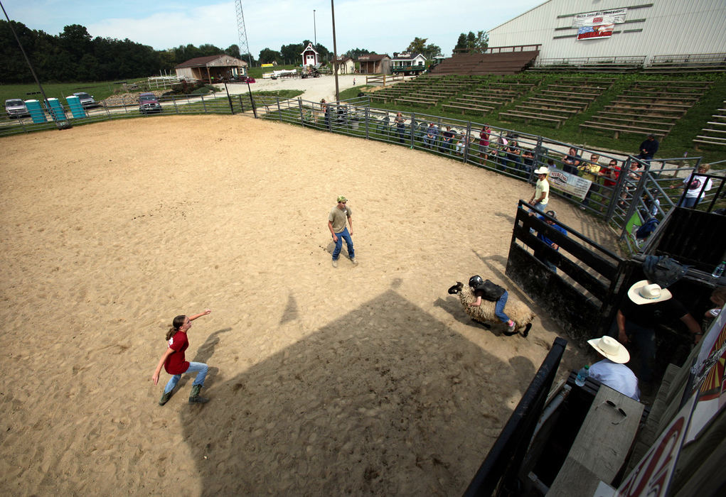 Second Place, Photographer of the Year - Large Market - Lisa DeJong / The Plain Dealer Ella Pepera, 5, of Avon, hangs onto a Suffolk sheep as they burst out of the gate at the Mutton Bustin' School. Even though this is Ella's first time ever riding a sheep, her ride was the longest of the day. In Mutton Bustin' competitions, participants are judged on a six-second ride. Emily Hickman, 13,  far left, and her brother Clayton Hickman, 14, wait out in the ring to follow the sheep for safety. 