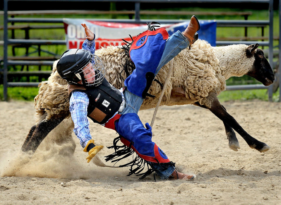 Second Place, Photographer of the Year - Large Market - Lisa DeJong / The Plain DealerRiley McCullough, 6, of Willard, gets bucked off a Suffolk sheep after a great run during the Mutton Bustin' School. Riley, riding for a year now,  got up without a scratch. 