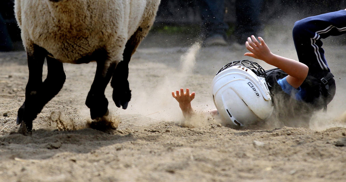 Second Place, Photographer of the Year - Large Market - Lisa DeJong / The Plain DealerBlake Dill, 6, of Columbus, slips off the sheep gracefully into the dusty ring,  shortly after bursting out of the gate during his second ride ever at the Mutton Bustin' School. Dill was not hurt. 