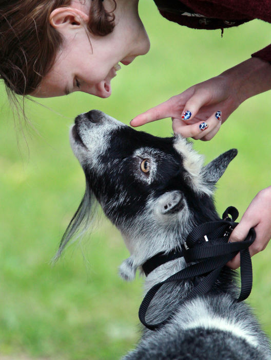 , Photographer of the Year - Large Market - Gus Chan / The Plain DealerMolly Blackford makes eye contact with Penny, her Agouti Pygmy Goat, at the Medina County Fair.  Blackford was exercising her goat.