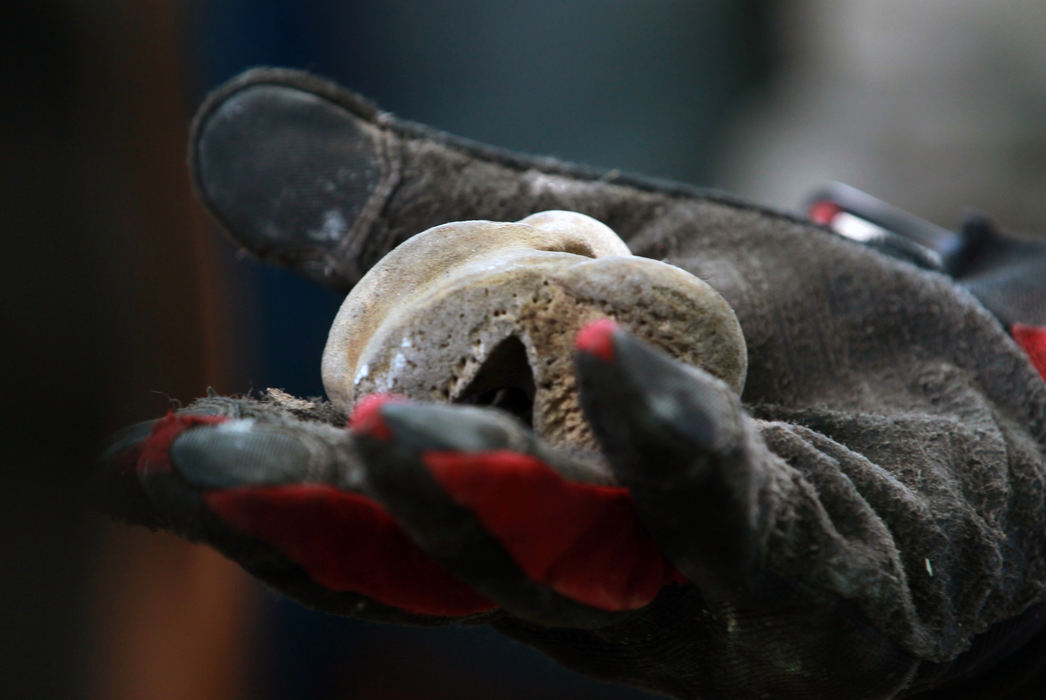 , Photographer of the Year - Large Market - Gus Chan / The Plain DealerA piece of bone said to be a human knee bone is held by a volunteer after being removed from an East Cleveland abandoned apartment building.  The search continued after the discovery of three bodies wrapped in plastic bags last weekend.