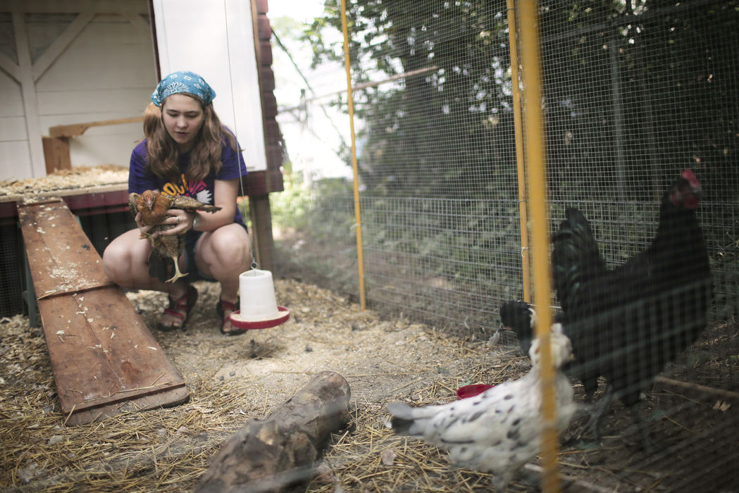 First Place, Photographer of the Year - Small Market - Joshua A. Bickel / Joshua A. Bickel/ThisWeek CommunChloe Degitz, 14, holds a chicken while working in the coop in Shawn Fiegelist's Clintonville backyard Aug. 5, 2013 in Columbus, Ohio. Fiegelist and Degitz, a neighbor, are raising chickens, and Fiegelist has started a Facebook page for urbanites to share information about raising urban chickens.