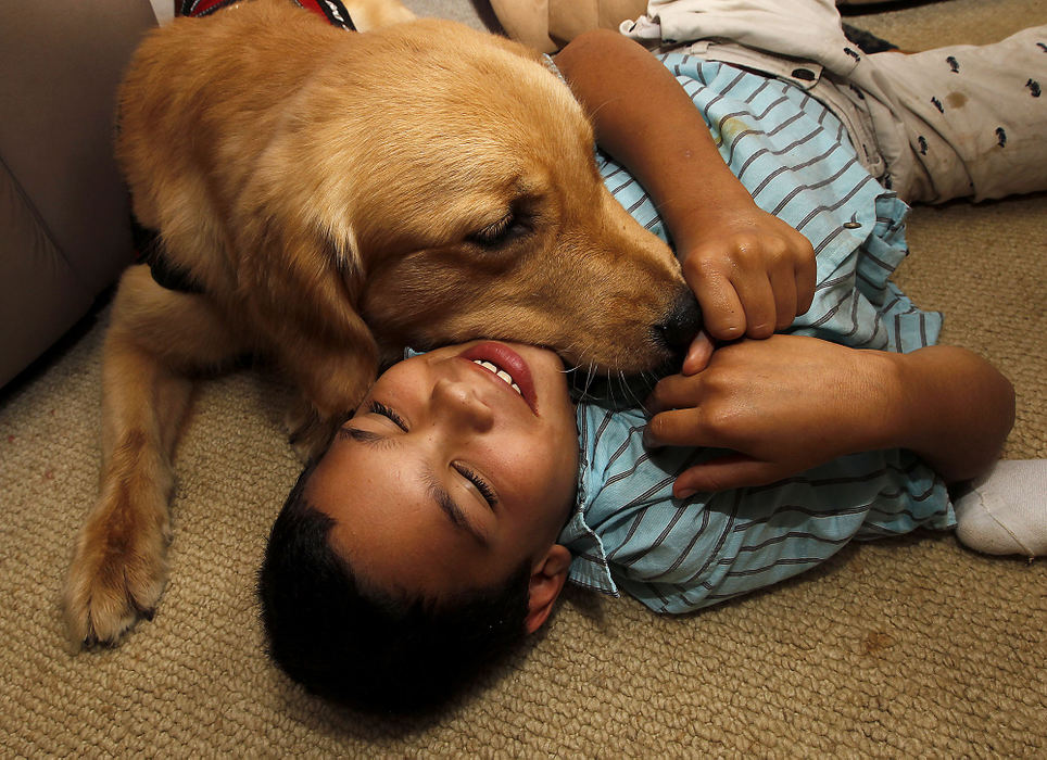 Third Place, Photographer of the year - Small Market - Bill Lackey / Springfield News-SunJonah Kintner smiles as his service dog "Clank" lays his head on him as they play together on the floor of their family's living room. According to Jonah's mother, Judy, Yellow Springs schools have denied her son the use of his service dog.