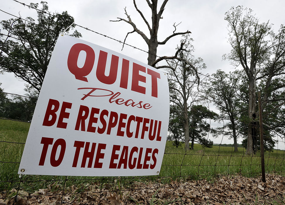 Third Place, Photographer of the year - Small Market - Bill Lackey / Springfield News-SunA sign hanging on a Clark County farm fence asks people to be respectful of the bald eagles nesting in a tree behind it as they drive past. 
