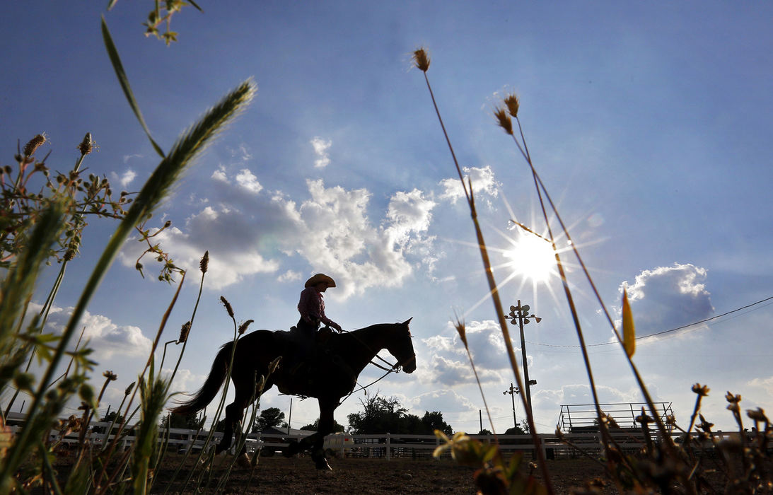 Award of Excellence, Ron Kuntz Sports Photographer of the Year - Chris Russell / The Columbus Dispatch Josie cools down her horse  between events at the Ohio High School Rodeo Championship in Urbana.
