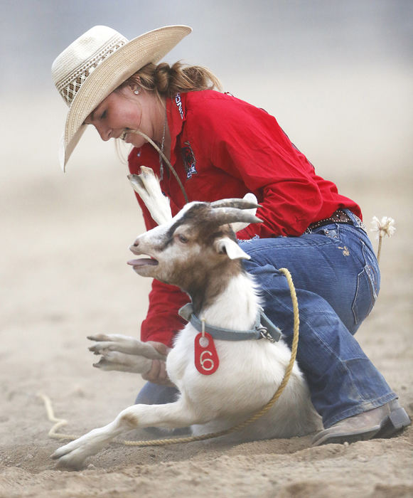 Second Place, Sports Picture Story - Chris Russell / The Columbus Dispatch Josie Humes successfully ties up her goat during the second day of the Ohio High School Rodeo Championship.  She earned enough points at that event to qualiify for that event in the National High School Rodeo competition.   
