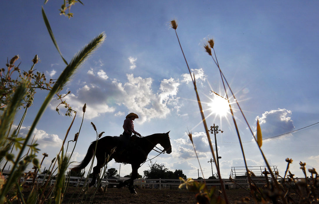 Second Place, Sports Picture Story - Chris Russell / The Columbus Dispatch Josie cools down her horse  between events at the Ohio High School Rodeo Championship in Urbana.