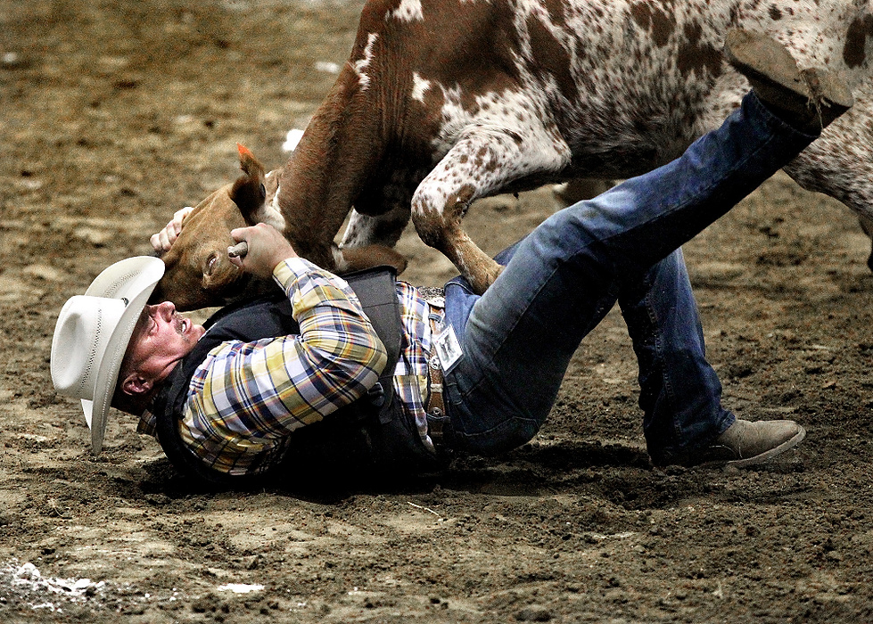 Second Place, Photographer of the Year - Large Market - Lisa DeJong / The Plain DealerA participant receives a painful kick as he tries to wrestle the steer to the ground during the chute dogging event at the International Gay Rodeo Association's rodeo competition for the 2014 Gay Games at the Summit County Fairgrounds in Tallmadge.  Athletes from all over the world compete in roping events, barrel racing and steer riding. This is the first time IGRA has coordinated their rodeo with the Gay Games. 