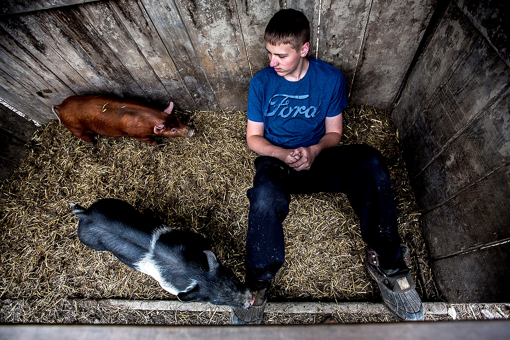 First Place, Photographer of the Year - Small Market - Jessica Phelps / Newark AdvocateThe Deeds children have all become interested in showing animals for 4-H, but none are as excited as Cooper who will be showing pigs for the second year. He takes pride in caring for his animals ad has set an example for his younger brothers and sisters. Cooper was 5 when his parents started fostering children, and it took him awhile to learn to cope with the kids leaving after he got attached. 