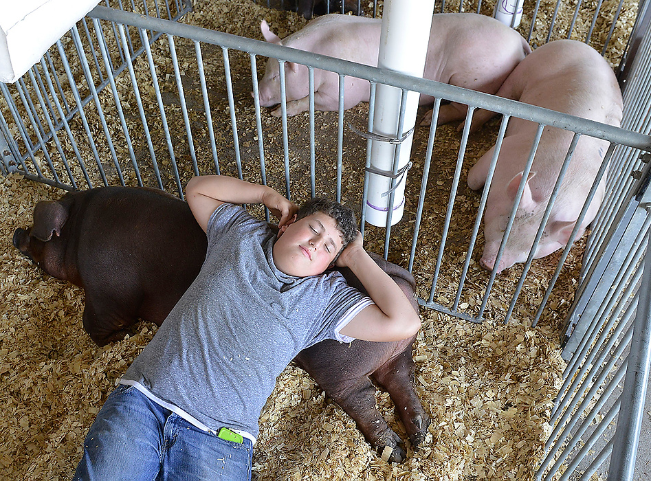 Third Place, Photographer of the Year - Small Market - Bill Lackey / Springfield News-SunAs county fair season rolls around, communities in Southwest Ohio gather together to celebrate their agricultural roots and future. While some compete with their animals and their skills, others simply enjoy the thrilling rides and food on the midway. Whatever the reason for attending the fair, the outcome is always the same. A great time. Truitt Thomas, 13, relaxes with his pig in it's pin after getting it settled in for a week at the fair. 