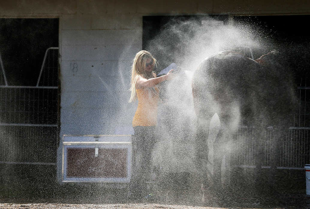 First Place, Ron Kuntz Sports Photographer of the Year - Eamon Queeney / The Columbus DispatchWith help from Stepanie Rees, of Delaware, not pictured, Julianna Edwards, of Exeter, PA, washes off See The Wind after the horse competed in the 11th race during the 69th running of the Little Brown Jug at the Delaware County Fairgrounds.