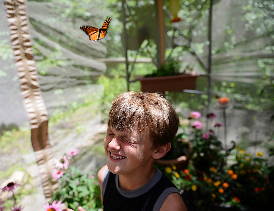 Third Place, Student Photographer of the year - Jenna Watson / Kent State University Jayden Jones, 7, of Westerville, laughs as a monarch takes flight from his nose in a butterfly tent outside of the Blendon Woods Metro Park nature center, in Westerville.