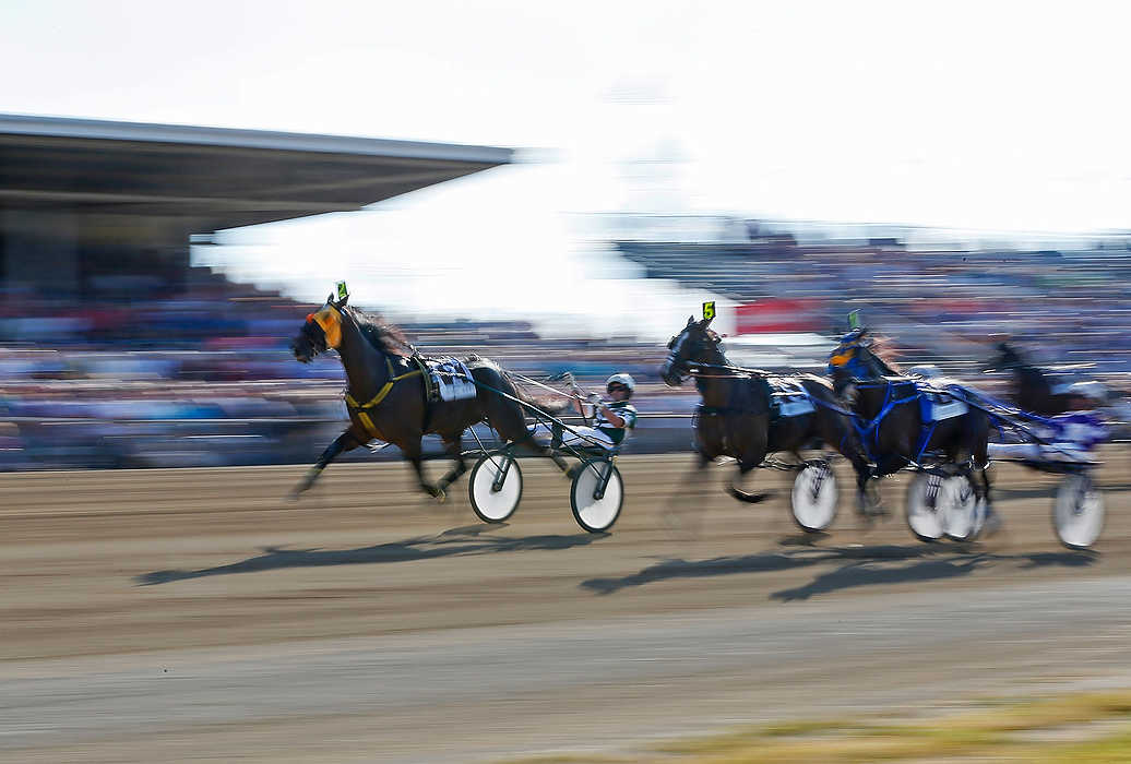 First Place, Sports Picture Story  - Eamon Queeney / The Columbus DispatchYannick Gingras driving Limelight Beach (left) wins the second elimination to move on to the final race during the 69th running of the Little Brown Jug at the Delaware County Fairgrounds.