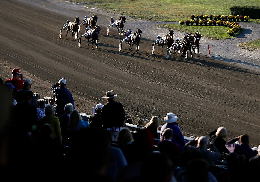 First Place, Sports Picture Story  - Eamon Queeney / The Columbus DispatchYannick Gingras driving Limelight Beach, second from right, crosses the finish line to win the 69th running of the Little Brown Jug at the Delaware County Fairgrounds.