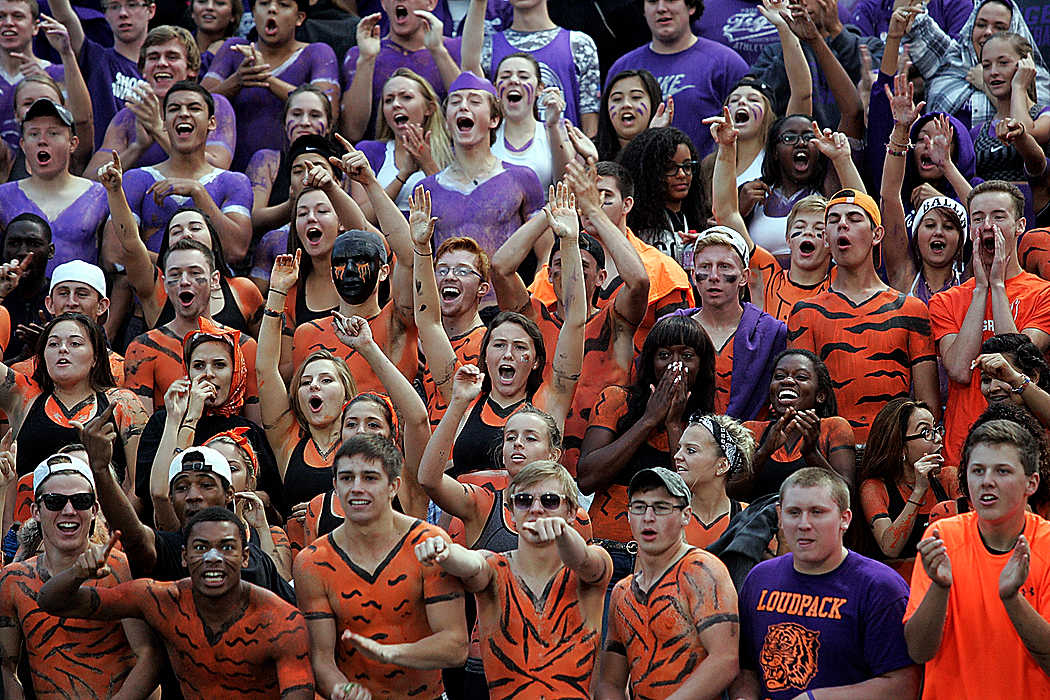 Second Place, Team Picture Story  - Chris Parker / ThisWeek Community NewsTiger fans cheer before their game against rival Pickerington North.