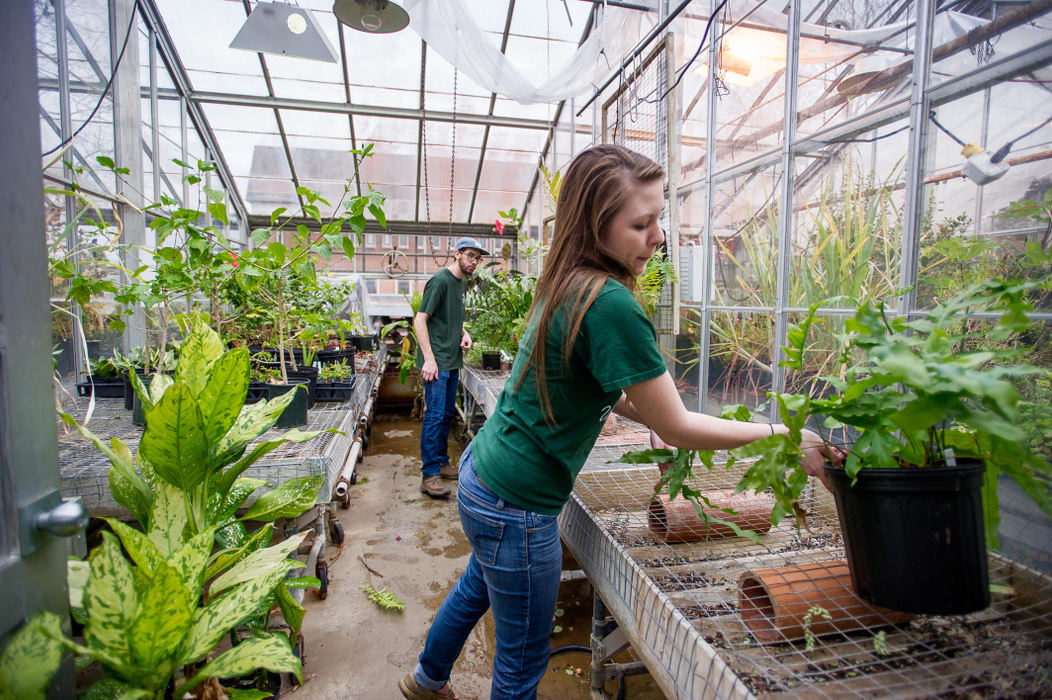 First place, Larry Fullerton Photojournalism Scholarship - Sarah Stier / Ohio UniversityBethany Zumwalde, an Ohio University graduate student studying plant biology, and Jacob Mullins, a senior studying plant biology, move plants to various parts of the greenhouse located behind Scott Quadrangle in Athens. 