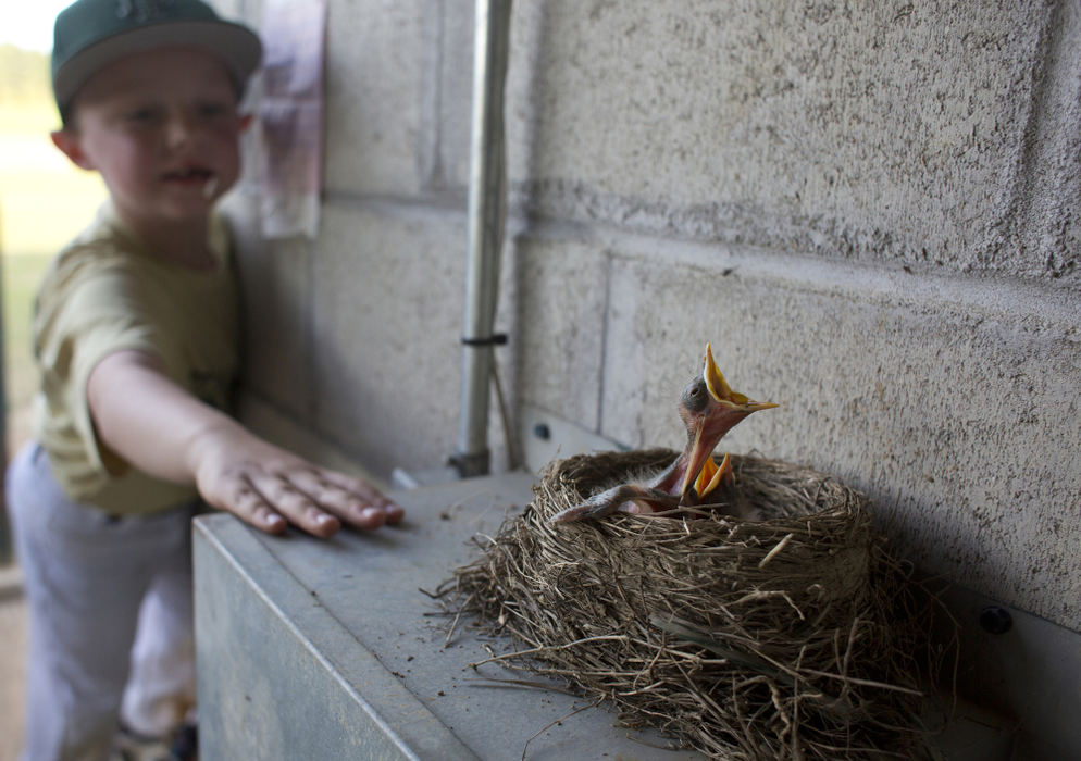 Third Place, Student Photographer of the Year - Marlena Sloss / Ohio UniversityKoby Greulich of Ferdinand, 6, taps on the electrical box holding a birds nest with two baby birds in the Forest Park dugout in Ferdinand, Ind. on May 1, 2018. Greulich said the dugout's spring residents are "so cool."