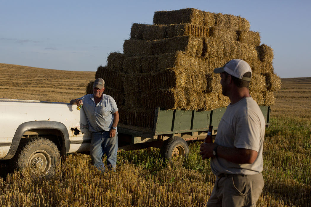 Third Place, Student Photographer of the Year - Marlena Sloss / Ohio UniversityRich Vollmer, left, and Chad Merkley, both of Jasper, enjoy a cold beer with their group of workers after baling, stacking, and hauling 2700 square straw bales from 50 acres of land in Jasper, Ind. on June 19, 2018. The group usually ends their work day with a cold beer. Vollmer and his two brothers own Vollmer Farms, which has been in his family for 6 generations. 