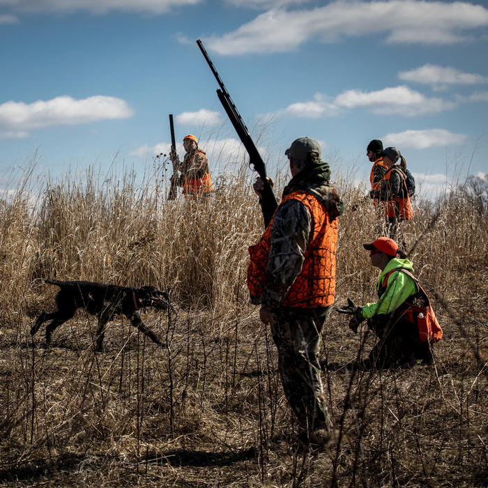 First Place, Larry Fullerton Photojournalism Scholarship - Nathaniel Bailey / Kent State UniversityA dog retrieves a bird shot by Grant Delancey (not pictured), returning it to guide Jennifer Nign (right, kneeling), one of two guides on the hunt at Monigold's Upland Bird Hunting in Newcomerstown, Ohio. Hunter's pay for the birds, and then hunt the fields where they are placed, using dogs to flush and retrieve the birds. "If the dogs are too far ahead, they're not gonna get their birds, like just happened," said guide Greg Nign after a dog flushed a bird too far ahead of the hunters, leading to missed shots.