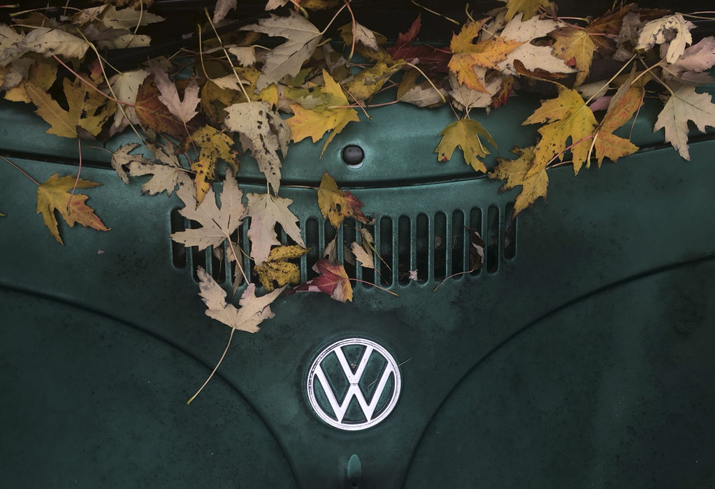 Award of Excellence, Pictorial - Nate Manley / Kent State University, "VW Leaves"Leaves rest on the hood of a vintage Volkswagen Bug,  Nov. 3, 2018. 