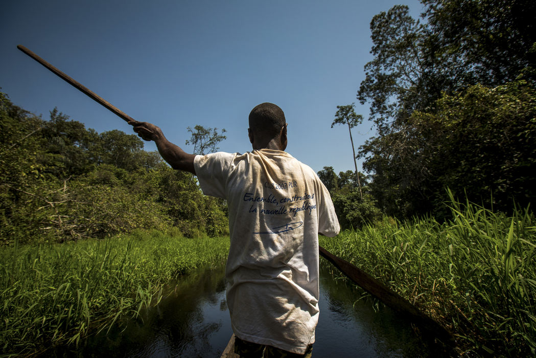 First Place, Photographer of the Year - Large Market - Meg Vogel / The Cincinnati EnquirerMossimbo Eric paddles a pirogue, which is a long narrow canoe made from a single tree trunk, on the Ndoki river towards Mbeli Bai inside the Nouabalé-Ndoki National Park, March 10, 2018 in the Republic of Congo. The Cincinnati Zoo's director Thane Maynard and curator of primates Ron Evans traveled to the Republic of Congo in March 2018 to see the wild western lowland gorillas and to tour the research sites that the zoo has supported for almost two decades. 