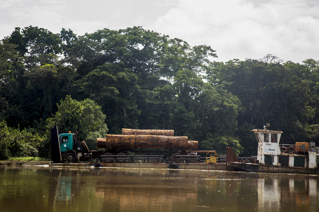 First Place, Photographer of the Year - Large Market - Meg Vogel / The Cincinnati EnquirerA logging truck hauling felled trees is transported across the Sangha river on a barge. Some of the trees logging companies are cutting down can be up to 900 years old. This is big business here. Dave Morgan and WCS are working with the logging companies to minimize the environmental impact of this economy. 