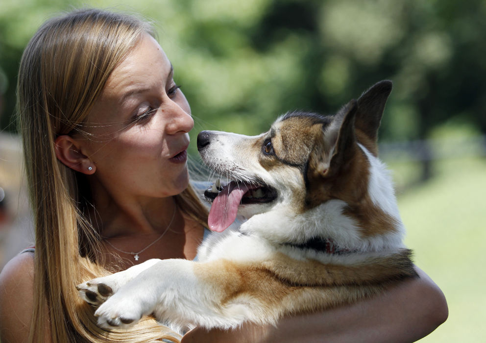 Second Place, Photographer of the Year - Small Market - Lorrie Cecil / ThisWeek NewspapersNicole Koenig of Columbus cuddles with her two year old corgi Samson during the Central Ohio August Corgi Meet-Up at Godown Park on Saturday August 4.  