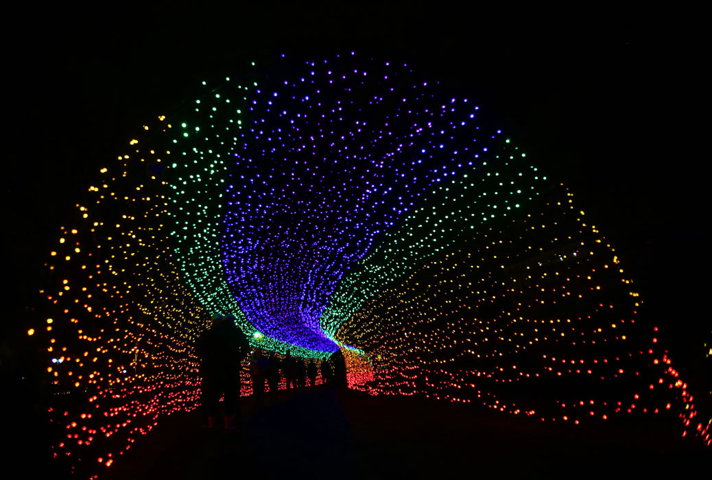Second Place, Photographer of the Year - Small Market - Lorrie Cecil / ThisWeek NewspapersVisitors walk through the rainbow tunnel at the Aglow exhibition on Thursday  December 12, 2018 at the Franklin Park Conservatory.    The exhibit runs through January 2, 2019. 