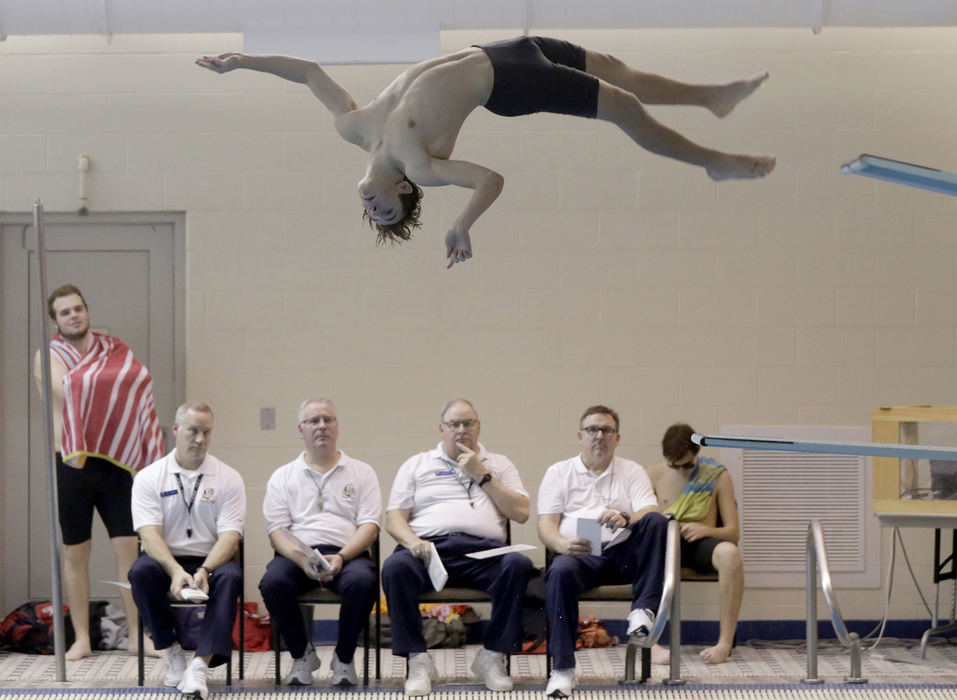 , Photographer of the Year - Small Market - Shane Flanigan / ThisWeek NewspapersWesterville South's Chip McGrew competes in the 1 meter dive during a swim meet Dec. 21, 2018, at Westerville Community Center in Westerville, Ohio.