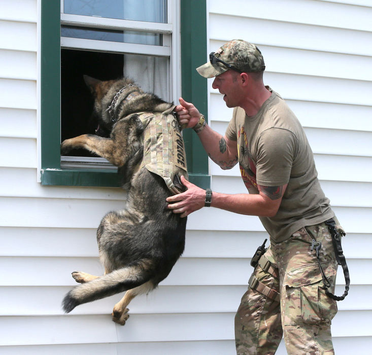 Award of Excellence, Photographer of the Year - Small Market - Scott Heckel / The Canton Repository"Buddy" is helped into a window by Devin Ryan, a police officer with the Cambridge Police Department during training in the 2100 block of Clearview Avenue NW in Canton on Wedneday, May 2, 2018. 