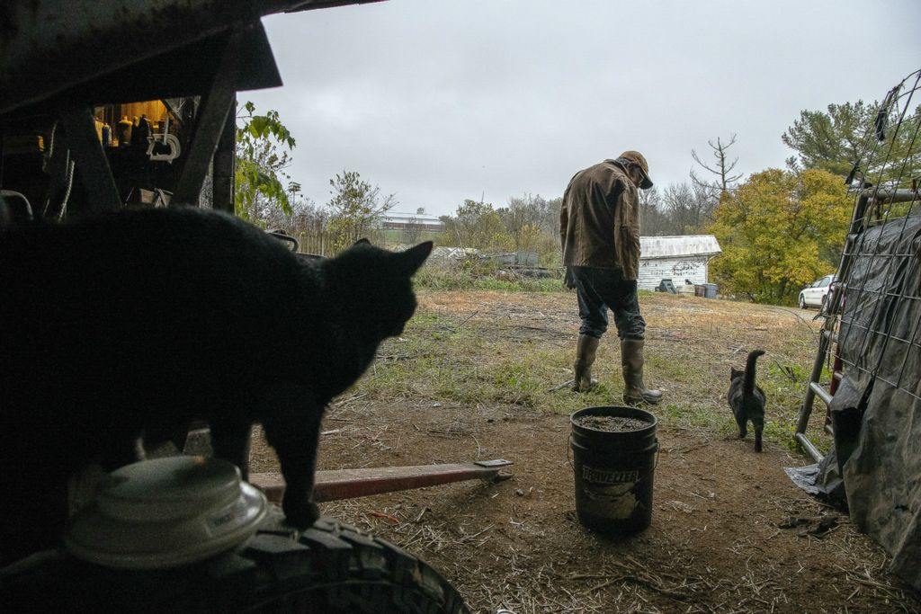 First Place, Chuck Scott Student Photographer of the Year - Gaelen Morse / Ohio UniversityLowell Clifford walks out of his barn while talking to his cat, Skinny, as the other barn cat, Fatty, watches from his perch inside the Clifford barn on Oct. 30, 2019, in Cynthiana, Ky.  Lowell bought his farm in 1971. Now an 83-year-old widower, he is trying to care for it alone. Despite losing his wife, Mary Sue, Lowell has kept his farm going. He works from early morning to past sunset. "Most old farmers would go somewhere to be taken care of," Lowell says, smiling. "I've got more than I can do."