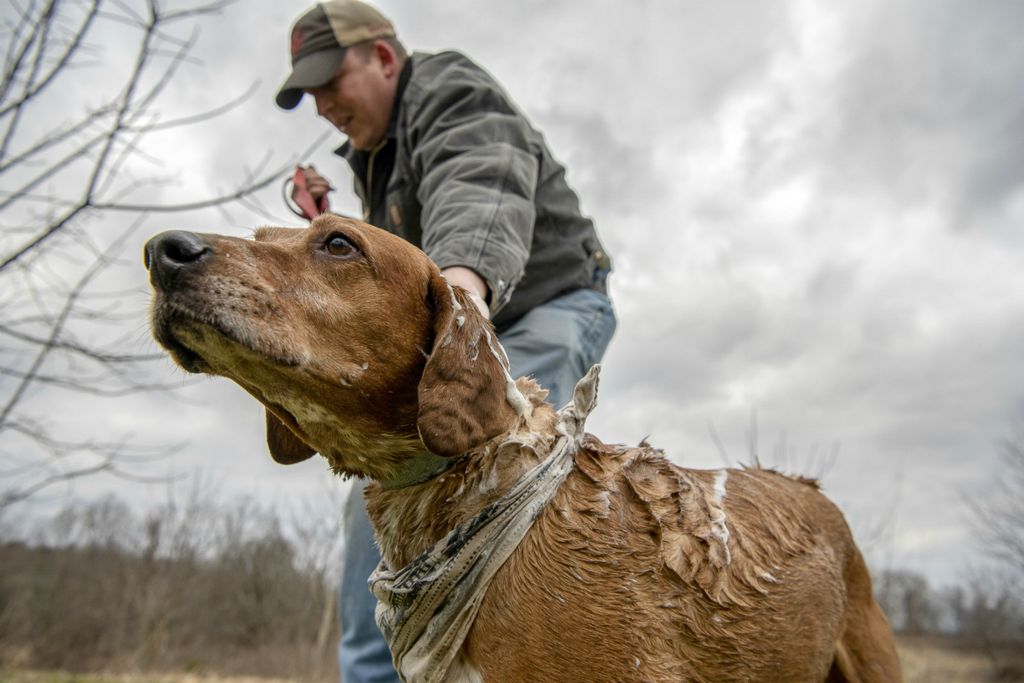 First Place, Chuck Scott Student Photographer of the Year - Gaelen Morse / Ohio UniversityRick Johnson, of Tuppers Plains, Ohio, washes his dog Cassidy after catching her rolling around in the muck created by weeks of intermittent heavy rains, on February 24, 2019.