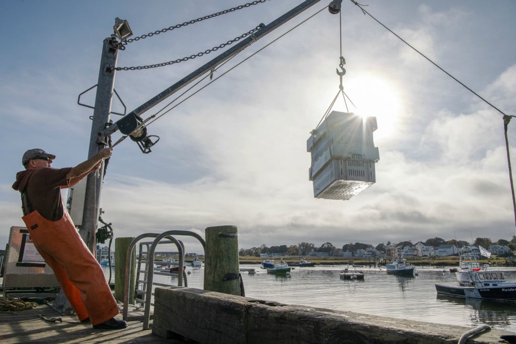 First Place, Chuck Scott Student Photographer of the Year - Gaelen Morse / Ohio UniversityScott Leddin, of Pembroke, Mass., hoists a container of freshly caught lobster from his boat onto the Green Harbor town pier in Marshfield, Mass, on Oct. 14, 2019. Green Harbor continually ranks among the top 5 ports for amount of lobster landed in the state. In comparison the port is much smaller than other ports, such as Gloucester and New Bedford.