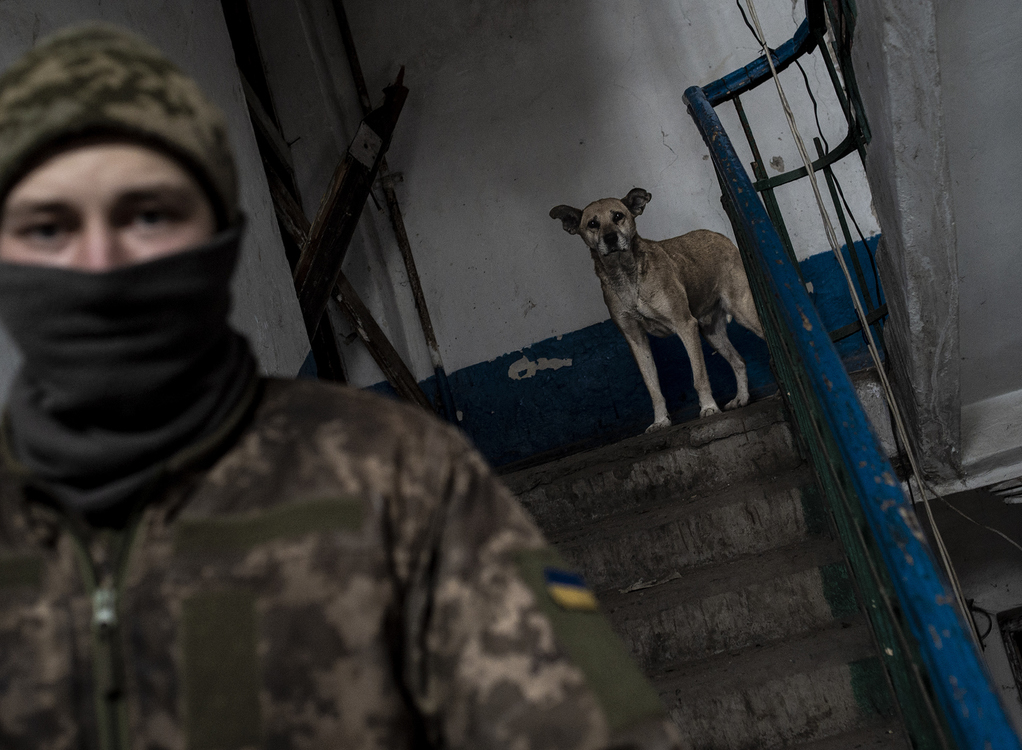 Award of Excellence, Feature Picture Story - Matthew Hatcher / Freelance, “Ukraine's Forgotten War”A Ukrainian soldier leaves for his guard shift on 'Point Zero' on February 25, 2019 as a stray dog watches from the inside of a shelled apartment building that soldiers and civilians occupy at Zolote-4 in Ukraine. 'Point Zero' in Zolote-4 is the site of frequent shelling and sporadic fighting between Ukrainian soldiers and Russian backed separatists on the outskirts of Luhansk.