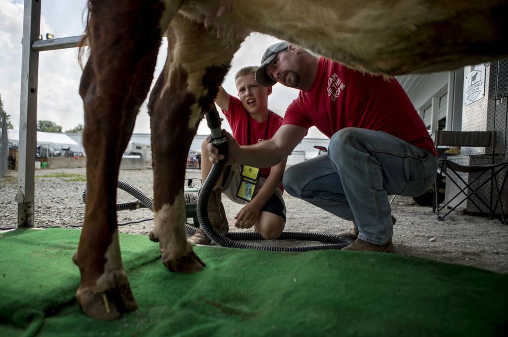 First place, Photographer of the Year - Small Market - Jessica Phelps / Newark AdvocateAndy Hollenback helps his son, Bryce, dry his heifer, Racheal before showing at the Hartford Fair, August 3, 2019. Andy loves raising his sons on a farm because of the responsibility that is being instilled in them. Bryce's hard work paid off, and he placed first in his class with Racheal. Bryce especially loves the freedom of living on a farm and being able to work with the animals. 