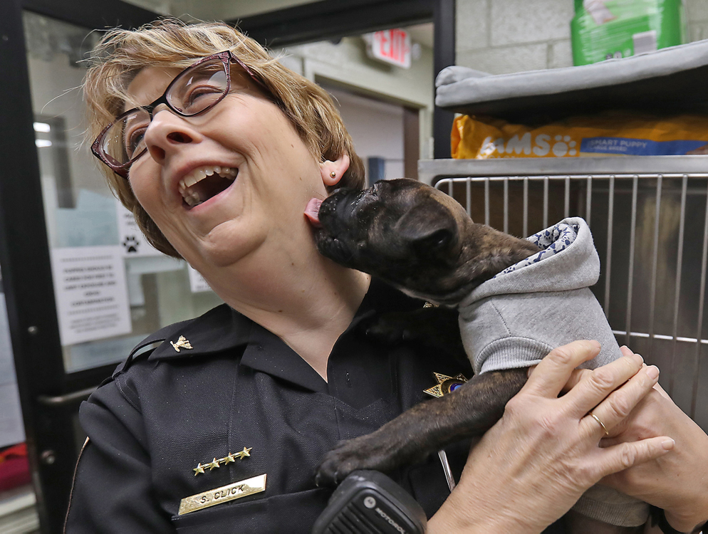 Second Place, Photographer of the Year - Small Market - Bill Lackey / Springfield News-SunClark County Dog Warden Sandi Click gets some love from the Clark County Dog Shelter's youngest guest Tuesday morning before they opened for National Adopt a Shelter Pet Day. 