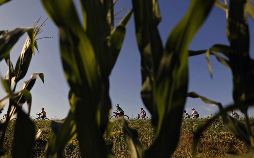 Award of Excellence, Sports Picture Story - Kyle Robertson / The Columbus Dispatch, “Pelotonia”Riders head down Jersey Mill Rd NW just outside of New Albany during the 11th Pelotonia on August 3, 2019.  