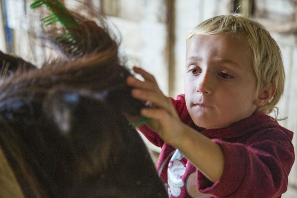 Third Place, Chuck Scott Student Photographer of the Year - Lauren Santucci / Ohio UniversityJake King, 6, combs a pony's mane on a family-owned horse farm in Chesterhill, Ohio on September 14, 2020. Jack and his two older sisters come to the farm for free horseback riding lessons while they are not attending school in-person during the COVID-19 pandemic. 
