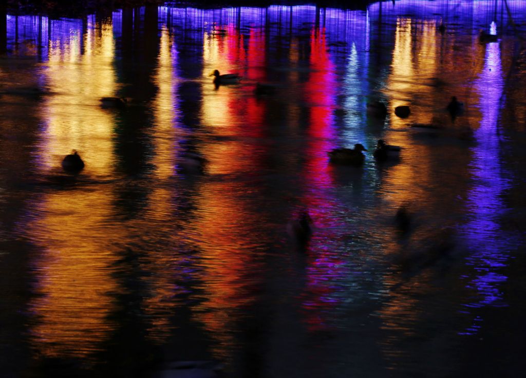 Third Place, Pictorial - Fred Squillante / The Columbus Dispatch, “Colorful”Christmas lights are reflected in Big Walnut Creek at Gahanna Creekside after sundown on December 10, 2020. The lights are an annual attraction in Gahanna; visitors to Creekside can walk along paths and along Big Walnut Creek.