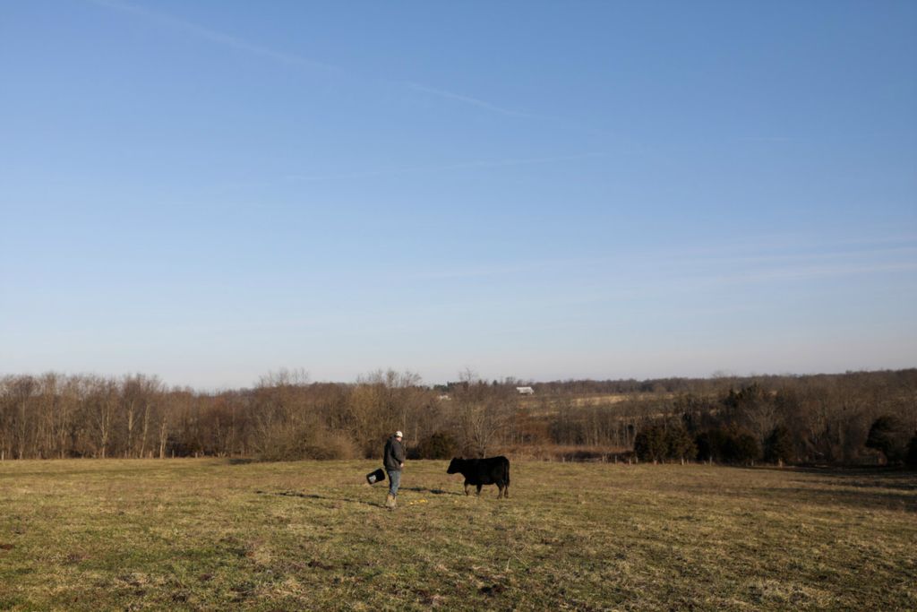 Second Place, George S. Smallsreed Jr. Photographer of the Year - Large Market - Joshua A. Bickel / The Columbus DispatchFarmer Nathan Brown feeds one of his cows on Monday, January 6, 2020 at his farm in Hillsboro, Ohio. Farmers are among the most likely to die by suicide compared to other occupations, and in the last two decades, suicide rates among farmers have increased 40 percent, according to the U.S. Centers for Disease Control. Brown, who struggled with depression and now advocates for better mental health access through his county farm bureau, acknowledges that the isolation and economic stress of farming, and the sigma of mental health in rural areas contribute to the problem. “It’s really rough,” he said. “There’s so much that’s out of your control.” 