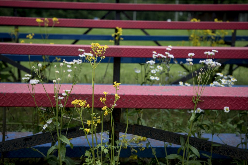 First Place, George S. Smallsreed Jr. Photographer of the Year - Small Market - Jessica Phelps / Newark AdvocateBy June the stands at the Lakewood softball field became overgrown with weeds. The field stood empty. All signs of the springtime lockdown in Ohio that prevents students from going to school and athletes playing their games. 