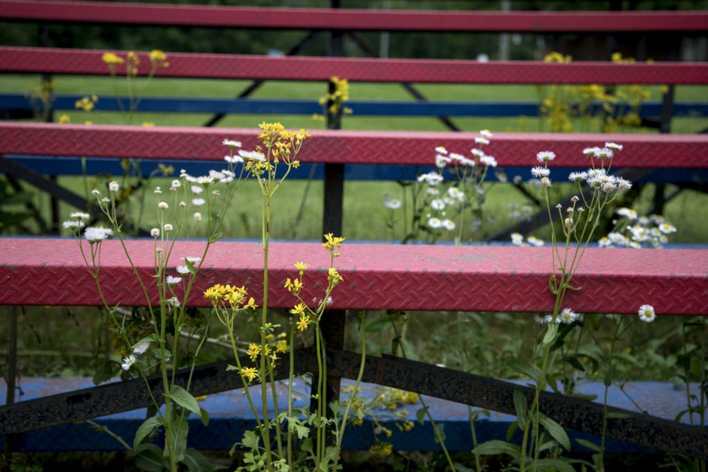 First Place, Ron Kuntz Sports Photographer of the Year - Jessica Phelps / Newark AdvocateBy June the stands at the Lakewood softball field became overgrown with weeds. The field stood empty. All signs of the springtime lockdown in Ohio that prevents students from going to school and athletes playing their games. 