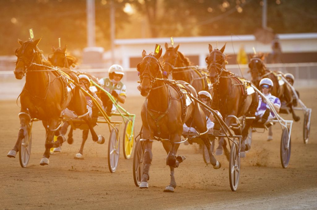 Third Place, Ron Kuntz Sports Photographer of the Year - Adam Cairns / The Columbus DispatchCaptain Barbossa driven by Joe Bongiorno crosses the finish line in first place to win the 75th Little Brown Jug harness racing event at the Delaware County Fairgrounds in Delaware, Ohio on Thursday, Sept. 24, 2020.