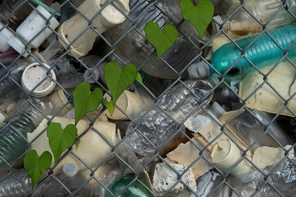 Second place, Feature Picture Story - Joshua A. Bickel / The Columbus Dispatch, "Our Rivers’ Keepers"A small plant winds its way up a fence on the barge where discarded plastic bottles and styrofoam cups are kept until they can be properly disposed.