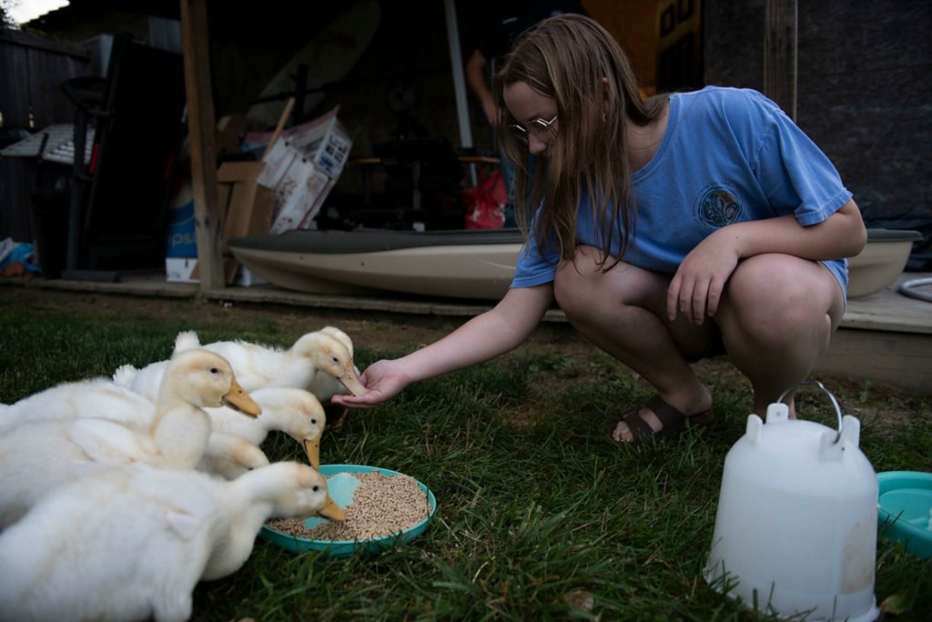 Award of Excellence, Feature Picture Story - Alie Skowronski / Ohio University, "New Normal"Joslynn feeds the ducks outside in her yard in Wheelersburg, Ohio, on June 6, 2021. The cats and the ducks live outdoors because Joslynn’s doctors told her it was safer so that she is not exposed to unknown bacteria.