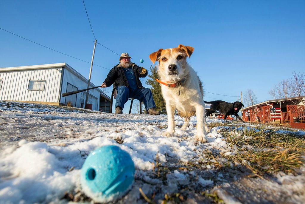 Second place, News Picture Story - Chris Day / Ohio University, "New Marshfield, Ohio"Paul Jones plays catch with his dogs Max and Winnie in his front yard on January 29, 2021. Jones often sits outside to play with his dogs in his front yard but said some residents walk the streets of New Marshfield with bats or sticks to fight off aggressive dogs. "This town is full of drug addicts, drug peddlers and pit bulls," he said.
