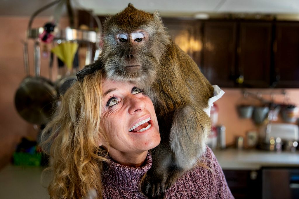 Second place, Photographer of the Year - Large Market - Meg Vogel / The Cincinnati EnquirerBugs, a 22-year-old macaque monkey, sits on Teresa Bullock's shoulder to groom her hair inside Bullock's home, part of her Misfitland Monkey Rescue in Moscow, Ohio, on Monday, November 22, 2021. Bullock has a dangerous animal license for her three macaque monkeys. Ohio enacted laws that generally prohibit keeping dangerous wild animals as pets after the owner of a private zoo in Zanesville released dozens of animals before killing himself in October 2011. The loss of life prompted national outrage, and, in June 2012, then-Ohio Gov. John Kasich signed a bill into law regulating the possession of dangerous wild animals as pets and rescues. It held that, in general, no one could possess a dangerous wild animal on or after Jan. 1, 2014. Exceptions were made for people who already were authorized by the state to possess the animals before that date and for people who would obtain a state rescue facility permit for dangerous wild animals after it.