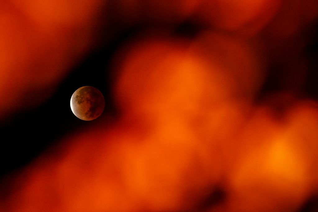 Third place, Photographer of the Year - Large Market - Adam Cairns / The Columbus DispatchThe "Beaver Moon" lunar eclipse takes a reddish hue as it is peaks through the fall foliage in Columbus on Nov. 19, 2021. The eclipse, which reached 97% coverage in the Earth's shadow in the early morning hours, was the longest eclipse in 580 years, lasting three and a half hours.