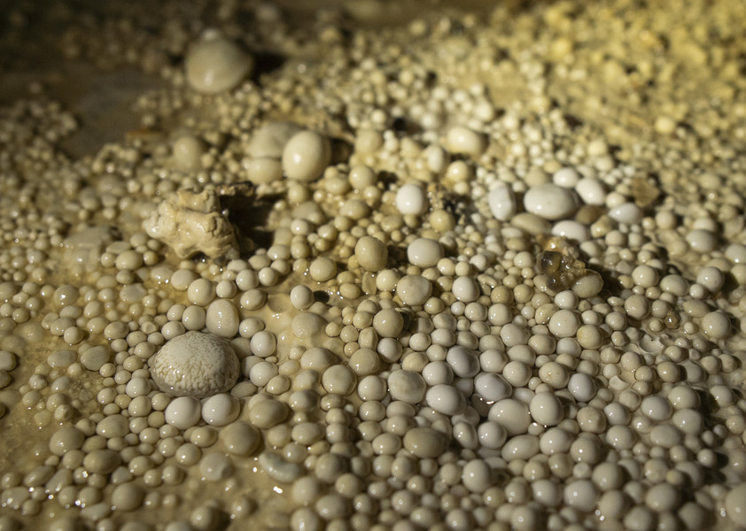 Student Photographer of the Year - Second Place, Joe Timmerman / Ohio UniversityCave pearls, which are small balls of calcite that formed over a span of hundreds of years, lay in a pool of water in Roppel Cave. Cave pearls, gypsum flower, stalactites, and stalagmites are just a few of the different types of formations the cavers encounter and work to preserve while surveying new sections of the cave. 