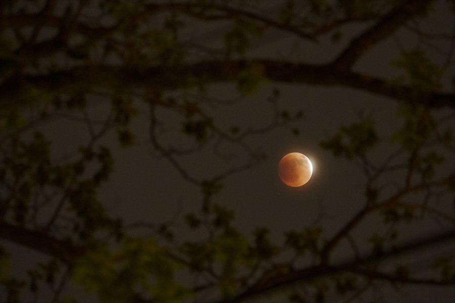 Photographer of the Year - Large Market - First Place, Adam Cairns / The Columbus DispatchThe Super Flower Blood Moon lunar eclipse occurs over Columbus. May's full moon is known as the flower moon, and it temporarily turned red while it was in the earth's shadow. 
